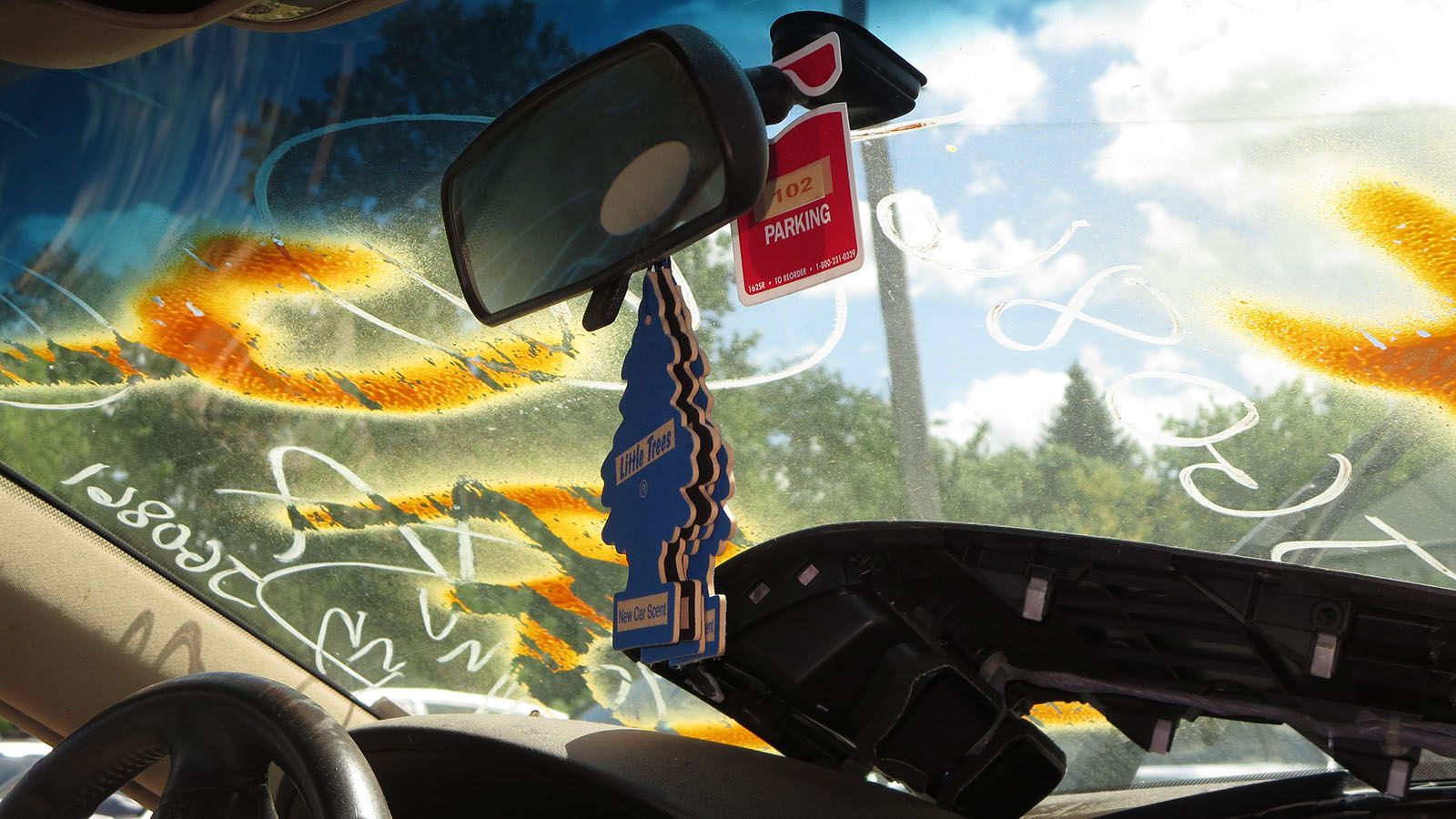 Your Scent Is A Little Sweet New Car Scent Little Tree air fresheners failed to save these cars from