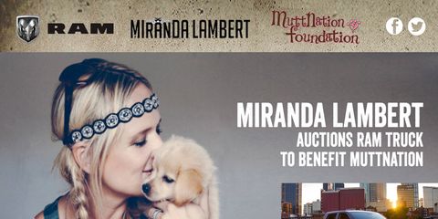 Ram and country singer Miranda Lambert are teaming up to help sheltered animals.