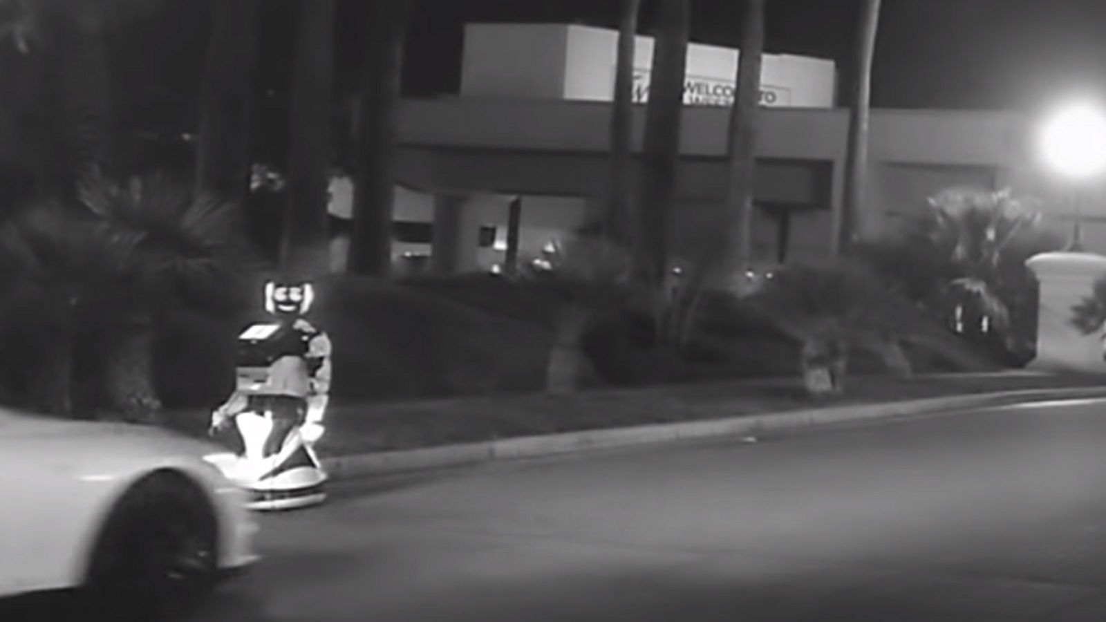veteran hold lighed Tesla S in autonomous mode 'kills' robot in hit-and-run at Las Vegas CES  show
