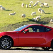 Tire, Wheel, Automotive design, Vehicle, Red, Performance car, Car, Pasture, Grazing, Rim, 