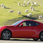 Front-engine, manual transmission, rear-wheel-drive. And sheep.
