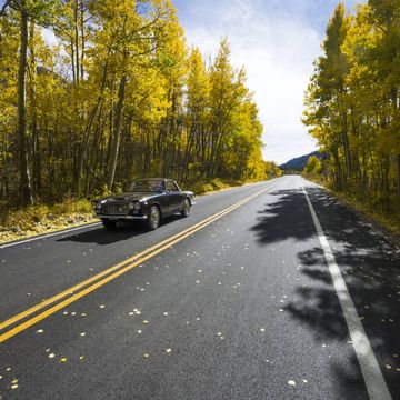 Road, Highway, Motor vehicle, Yellow, Asphalt, Tree, Lane, Leaf, Thoroughfare, Natural landscape, 