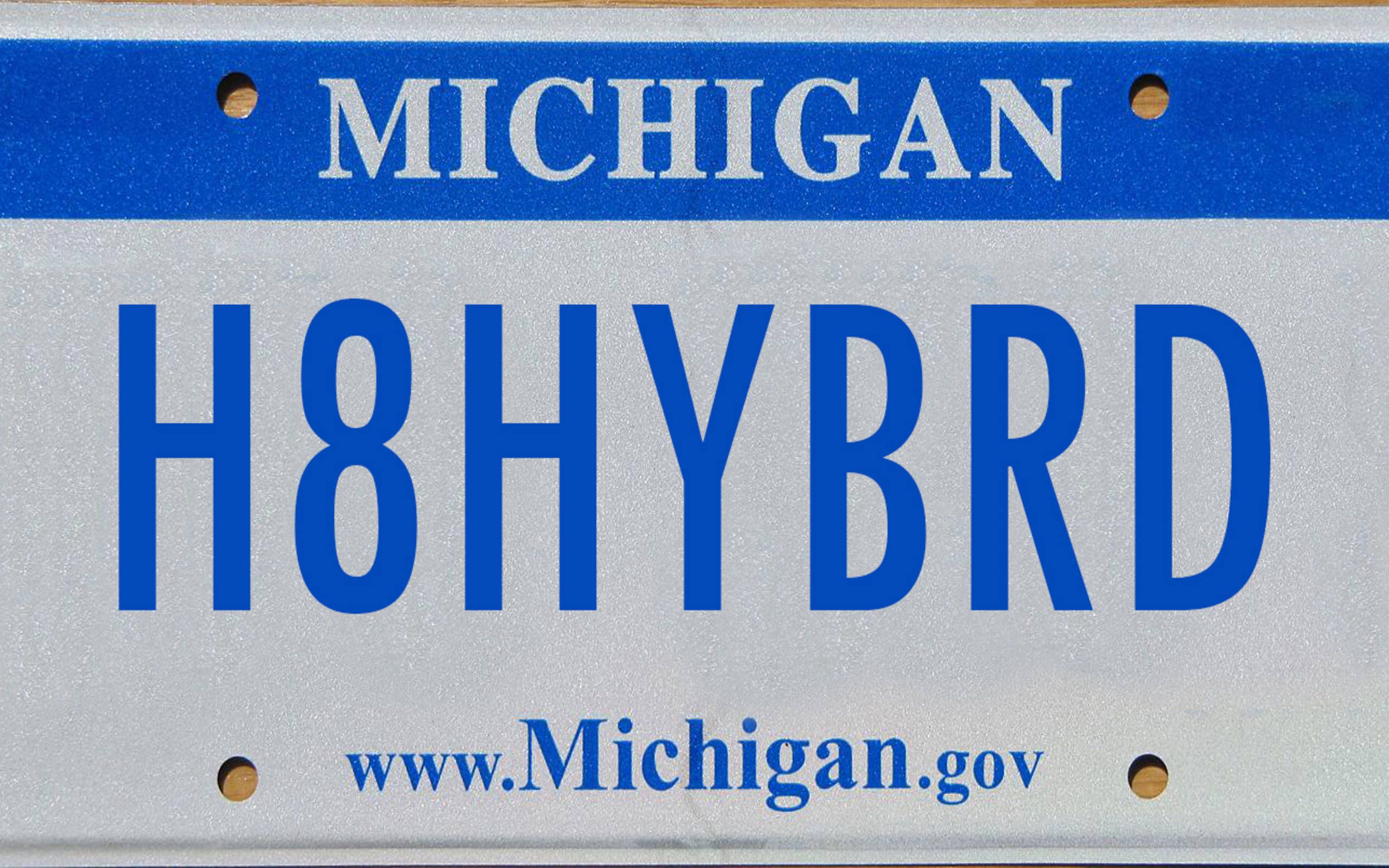 state of michigan personalized motorcycle license plates