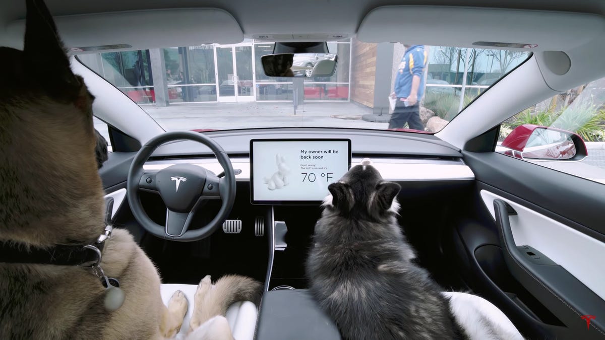 Rivian's new Pet Comfort mode keeps dogs, cats cool in vehicles