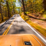 Yellow, Motor vehicle, Tree, Road, Mode of transport, Leaf, Natural environment, Asphalt, Transport, Thoroughfare, 