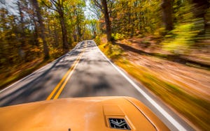 Yellow, Motor vehicle, Tree, Road, Mode of transport, Leaf, Natural environment, Asphalt, Transport, Thoroughfare, 