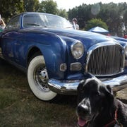 The Best of France and Italy car show has to be one of the coolest events of the year. Here's a Chrysler Ghia concept the owner of which has been good enough to show before. Dodger the dog approves!