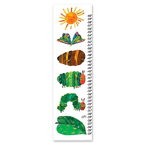 Multi-Color ScanDigital Inc. Larger Than Life Prints 736846600769 Football Growth Chart for Kids