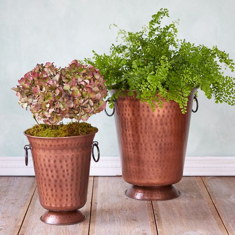 11 Best Modern Indoor Planters in 2018 - Planters and Plant Pots For