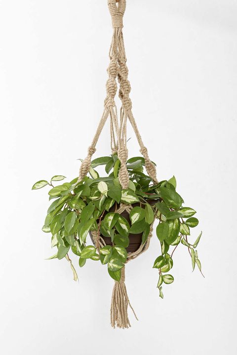 urbanoufitters magical thinking hand knotted hanging plant holder