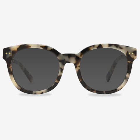 Reading & Polarized Tortoise Sunglasses | Peepers - Peepers by PeeperSpecs