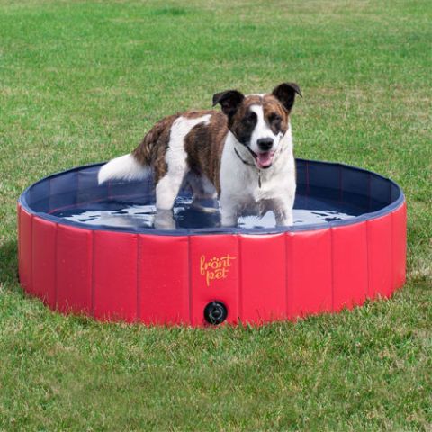 Frontpet Foldable Dog Pool