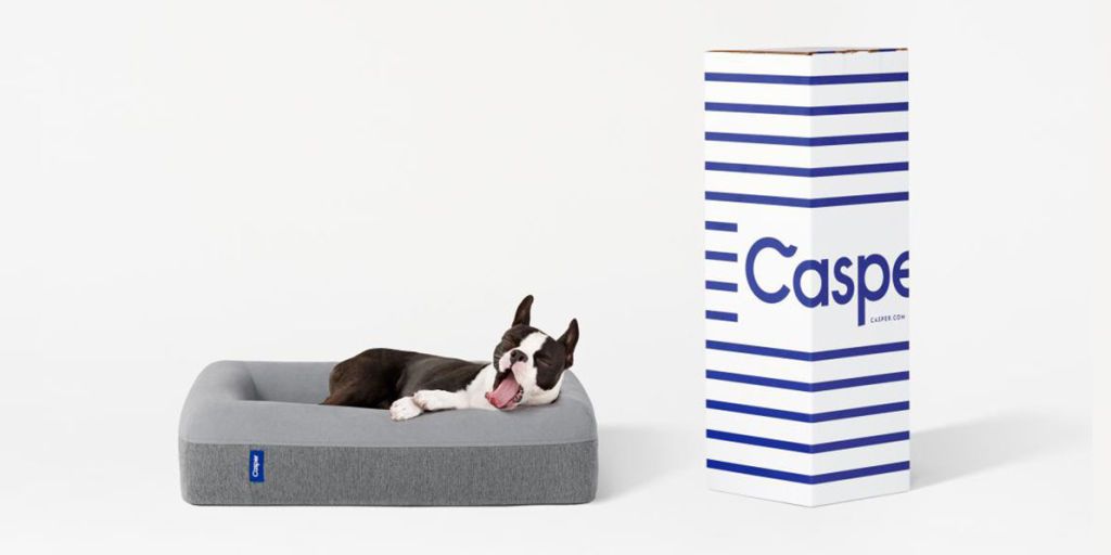 Casper dog mattress