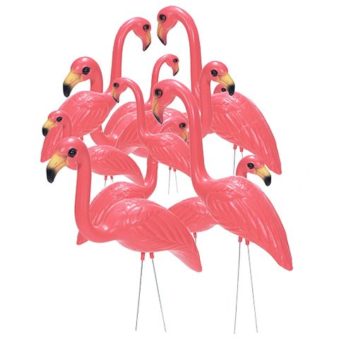 Pink Inc. Flamingos