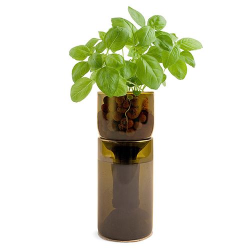 7 Best Indoor Herb Gardens In 2018 For Growing Herbs