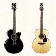 acoustic guitars
