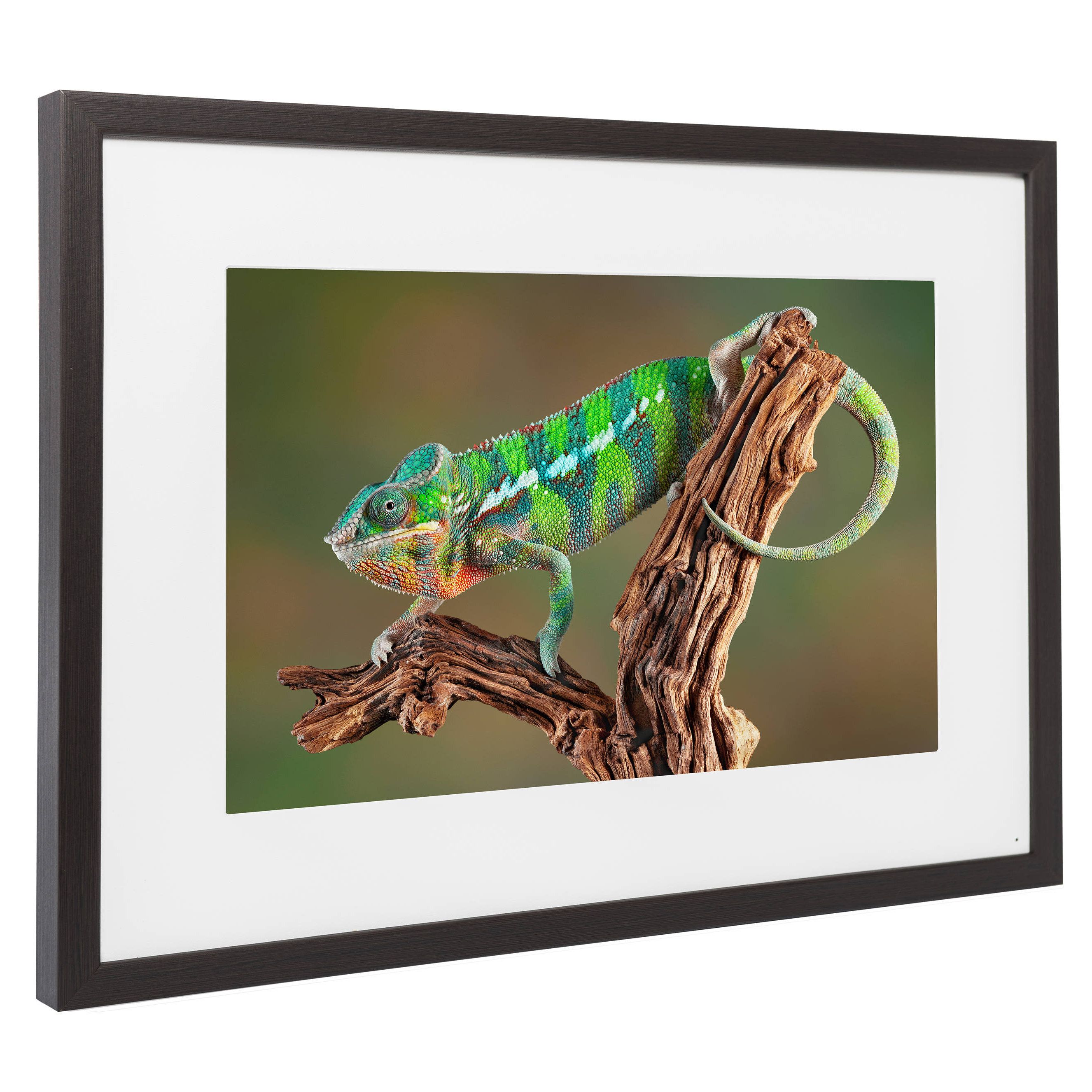 9 Best Digital Photo Frames Of 2018 Electronic Picture In 9 Best Digital Photo Frames Of 2018 Electronic Picture In Every Size