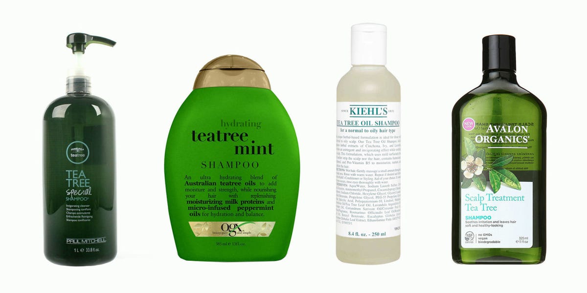 9 Best Tea Tree Shampoos For Cleaner Hair In 2018 Soothing 9 Best Tea Tree Shampoos For Cleaner Hair In 2018 Soothing Oil Shampoo