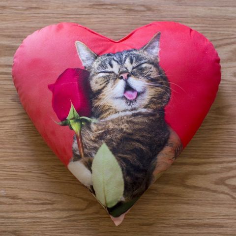 lil bub pillow