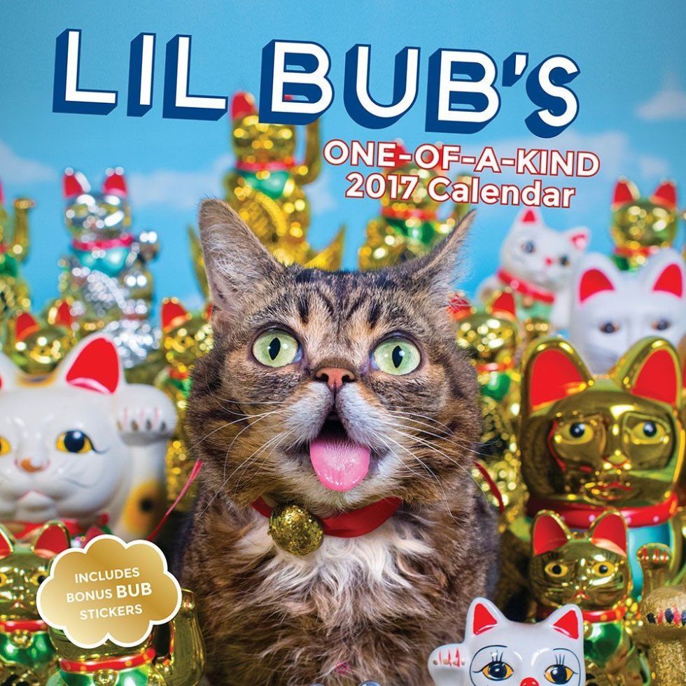 10 Lil Bub Products for 2018 Funny and Adorable Lil Bub Cat Lover