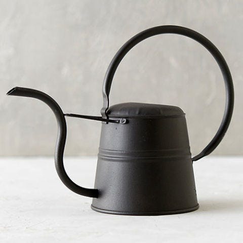 10 Best Watering Cans For 2018 Metal And Galvanized Can Terrain Hoop Handle Mini Watering Can