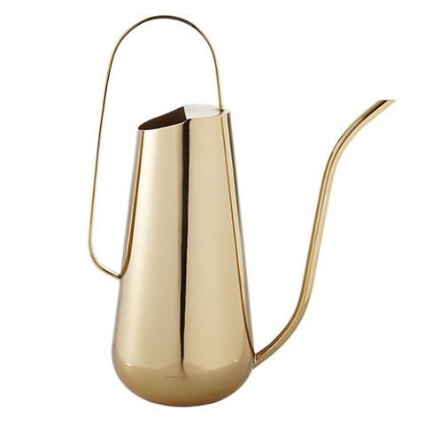 CB2 Brass Watering Can