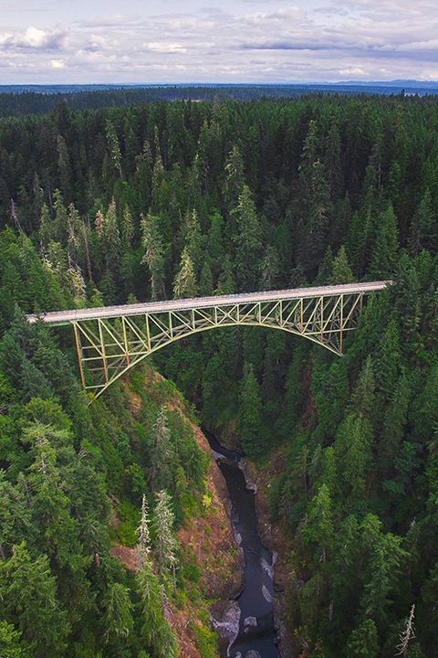 High Steel Bridge bungee