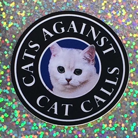 <p><strong data-redactor-tag="strong" data-verified="redactor"><em data-redactor-tag="em" data-verified="redactor">Cats Against Cat Calls Vinyl Sticker<br>$3</em></strong><span> </span><a href="https://www.etsy.com/listing/271185644/cats-against-cat-calls-vinyl-sticker?" target="_blank" class="slide-buy--button" data-tracking-id="recirc-text-link">BUY NOW</a><br></p><p>Keep it in ya pants, doodz.&nbsp;</p><p><strong data-redactor-tag="strong" data-verified="redactor">More:</strong> <a href="http://www.bestproducts.com/lifestyle/g2335/cute-planner-journal-stickers/" target="_blank" data-tracking-id="recirc-text-link">These Sticker Packs Personalize Your Journal</a></p>
