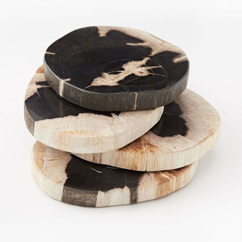 Petrified Wood Coasters