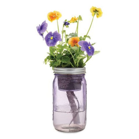 Mason Jar Indoor Blumengarten Mason Jar Indoor Blumengarten