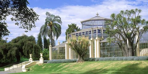 Adelaide Botanic Garden — Adelaide, Australia