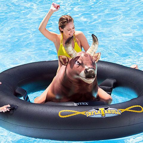 Inflatable bull for pool top