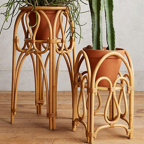 <p><strong data-redactor-tag="strong" data-verified="redactor"><em data-redactor-tag="em" data-verified="redactor">from $118</em></strong> <a href="https://www.anthropologie.com/shop/rattan-plant-stand?category=garden-outdoor&amp;color=023" target="_blank" class="slide-buy--button" data-tracking-id="recirc-text-link">BUY NOW</a></p><p>Rattan ANYTHING (including furniture) is a perfect way to bring a tropical vibe to your space. These planters come in two difference sizes, and can hold anything from enormous cacti to giant sansevieria<span class="redactor-invisible-space" data-verified="redactor" data-redactor-tag="span" data-redactor-class="redactor-invisible-space">.</span></p>