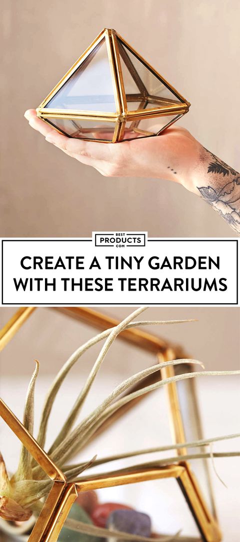 best terrariums for planters