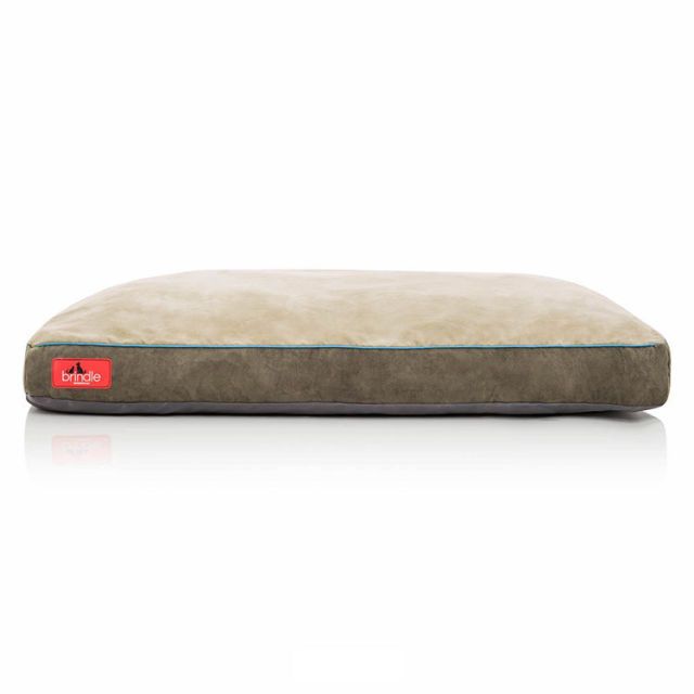 Brindle dog outlet beds