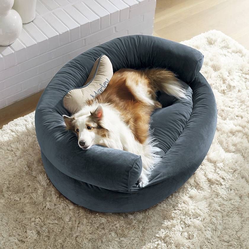 comfy couch pet bed