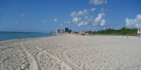 Haulover Beach — Miami, Florida – nude beach