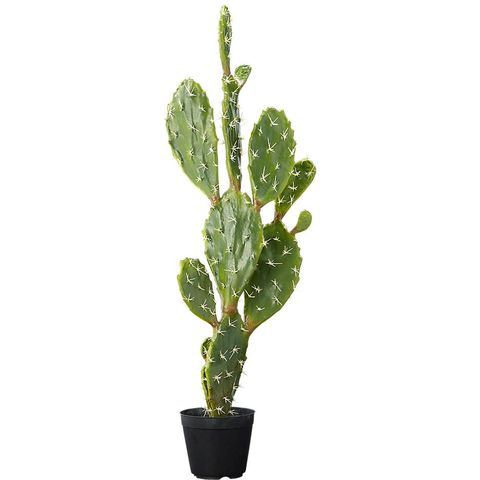 CB2 Potted 39" Prickly Pear Cactus