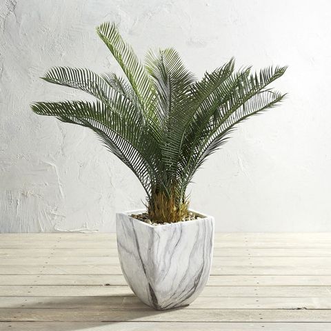 Pier 1 Imports Outdoor Potted 38" Faux Cycas