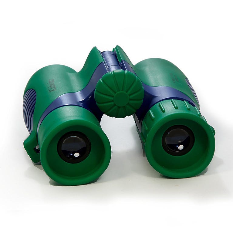 best outdoor toys for dogs
