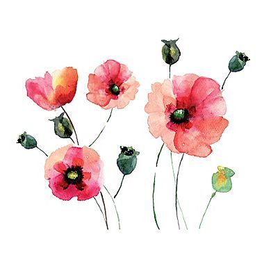 WallPops! Watercolor Poppies Wall Decal
