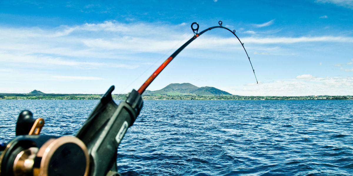 travel with fishing pole