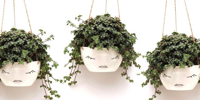 10 Best Hanging Planters for 2018 - Unique Hanging Baskets & Planters