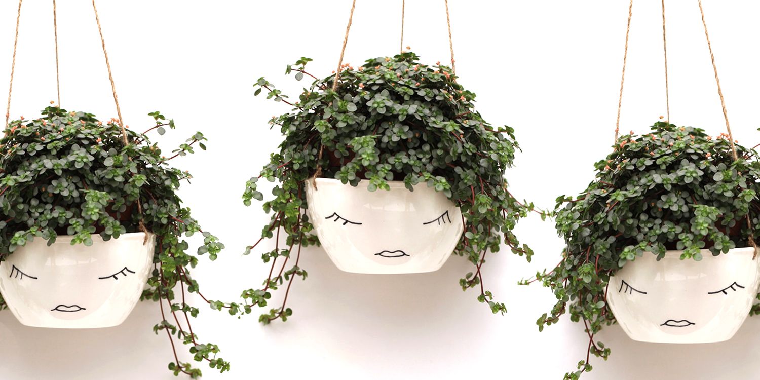 10 Best Hanging Planters for 2018 - Unique Hanging Baskets & Planters