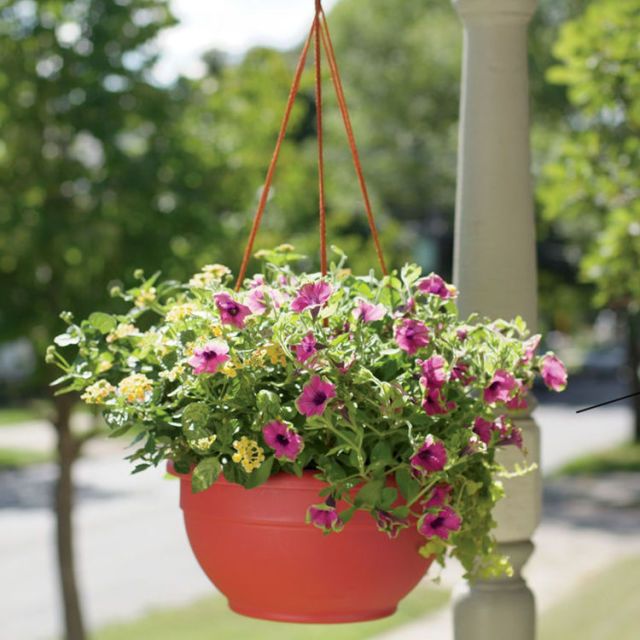 10 Best Hanging Planters for 2018 - Unique Hanging Baskets & Planters