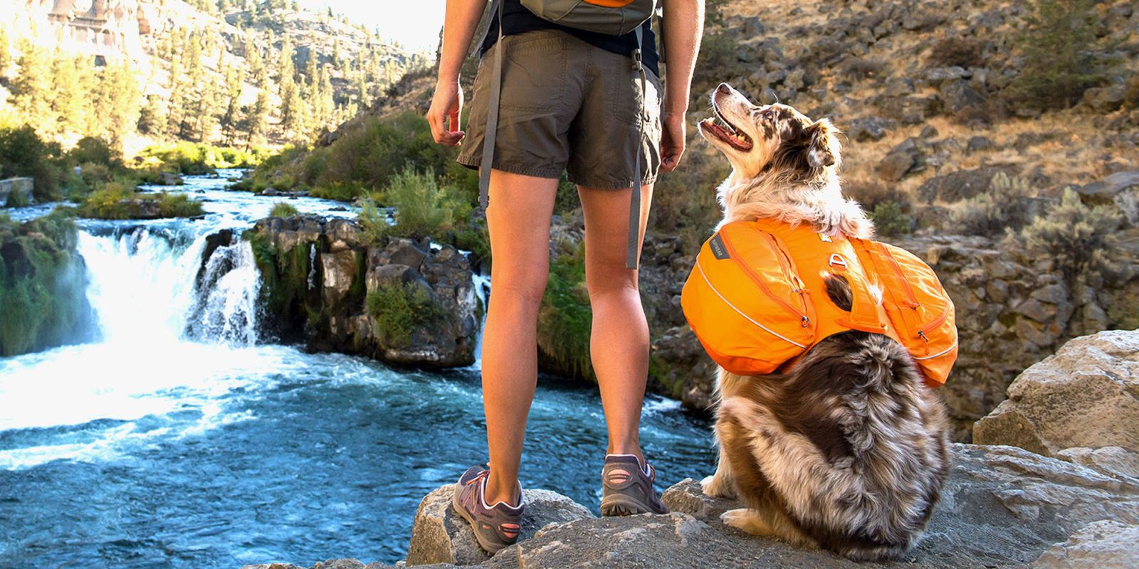 2-in-1 Dog Harness and Hiking Dog Backpack For Outdoor Use Gear Travel Camping 