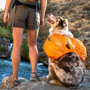 dog-backpacks dog-backpacks