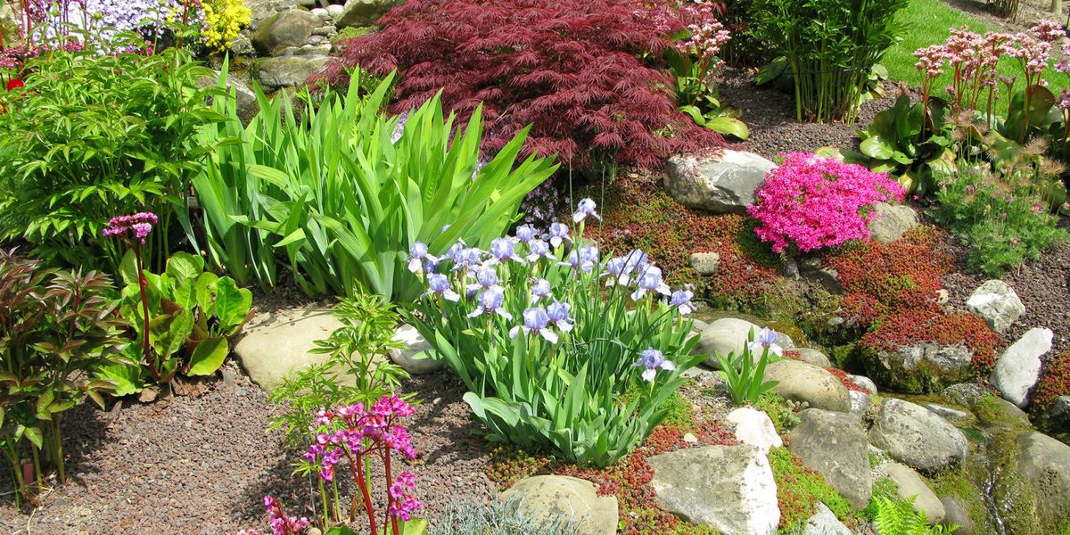 Rock Garden Ideas to Build Your Own in 2018 - Step-by-Step Guide to