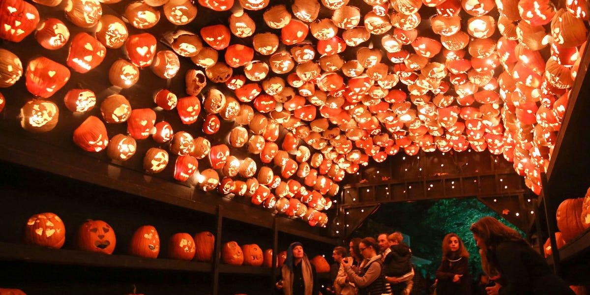 Things To Do In Westchester Today >> Everything to Know About The Great Jack O Lantern Blaze in Westchester for 2018 Things To Do In Westchester Today >> Everything to Know About The Great Jack O Lantern Blaze in Westchester for 2018