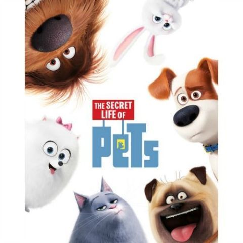 the secret life of pets movie durtion